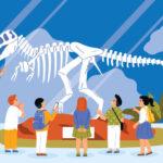 Μουσείο φυσικής ιστορίας - Προνηπιακό τμήμα Β'