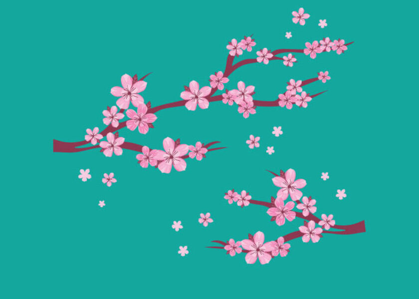 amigdalia-a-mikro-pron