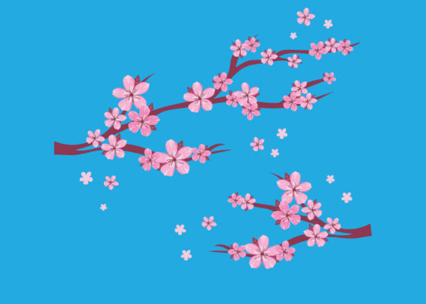 amigdalia-b-mikro-pron