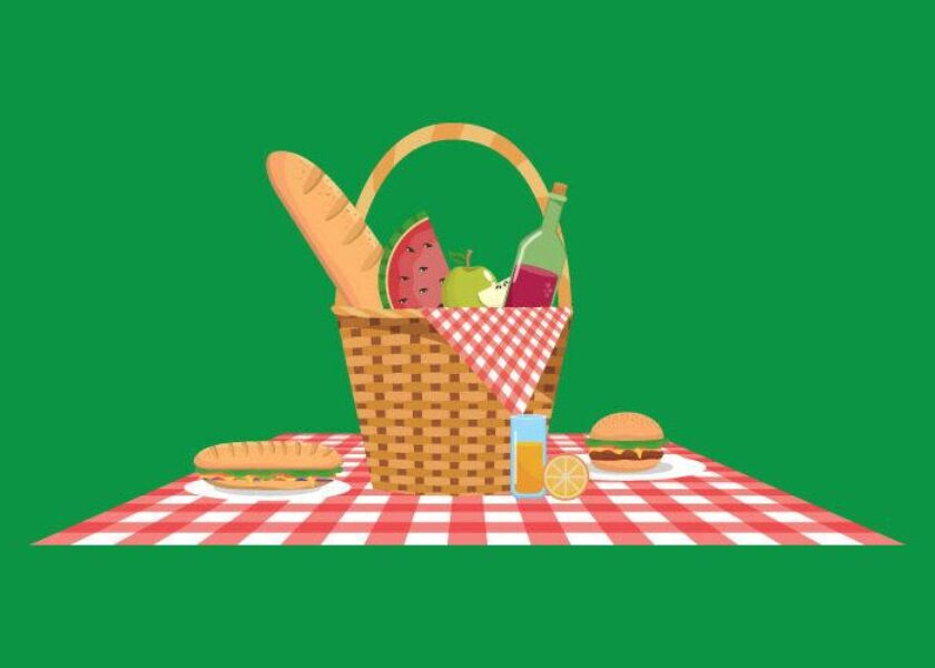 pic-nic-mikro-pronipio-a