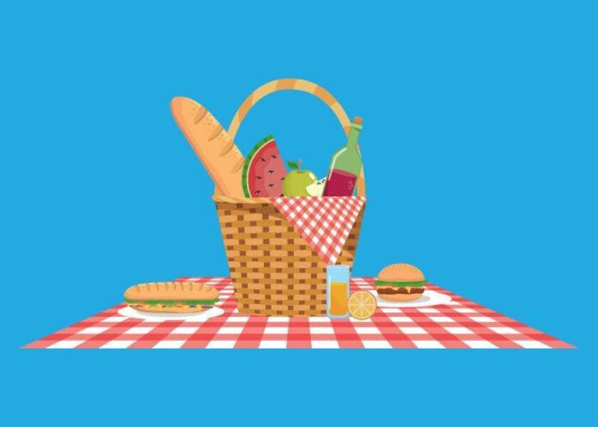 pic-nic-mikro-pronipio-b